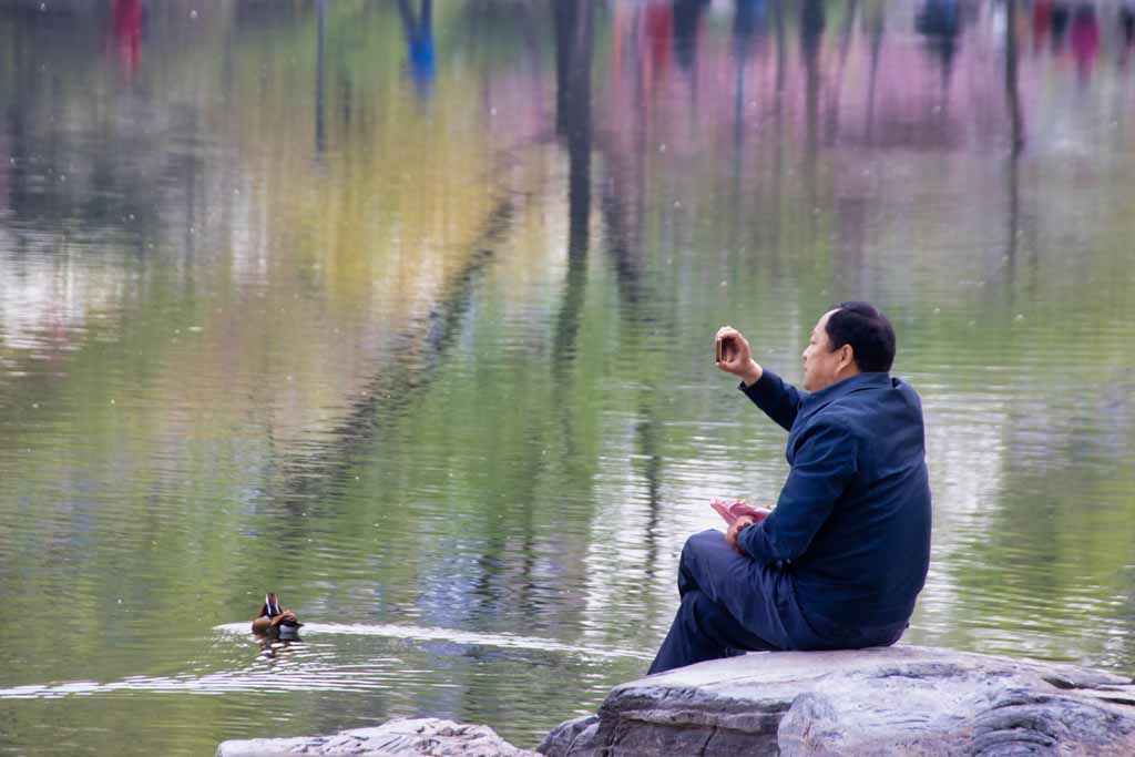Ein Mann sitzt am See im Yuyuantan-Park in Peking